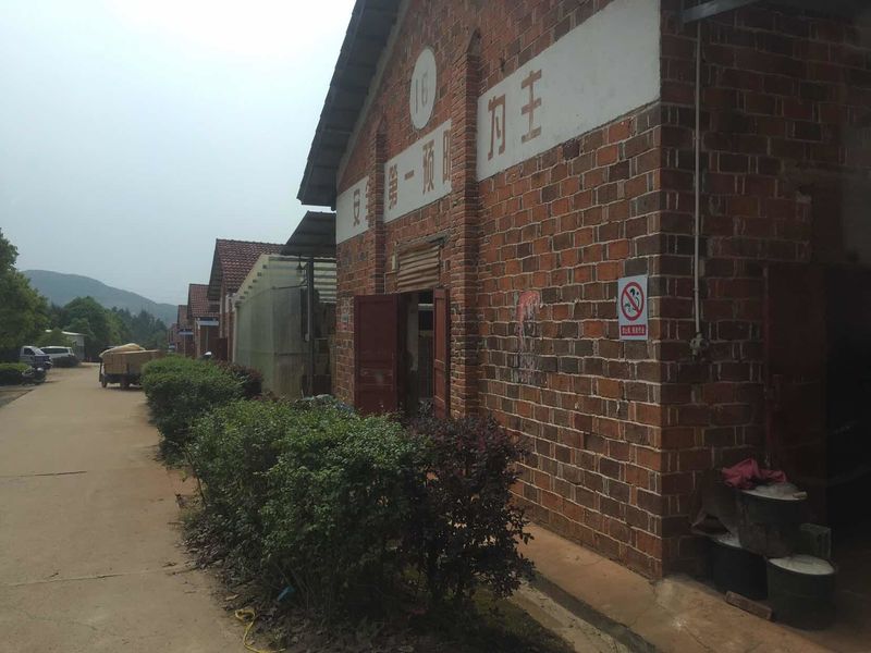 China Liuyang Mandarin Fireworks Co., Ltd. Perfil de la compañía