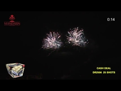 25 Shots Consumer Cake Fireworks 10KG 25*30*200mm