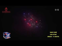 11 Shots Comet Tail Consumer Cake Fireworks 30*36*175mm