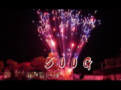 Fuegos artificiales pirotecnia fábrica china 1.2 pulgadas 24 disparos torta fuegos artificiales para la celebración