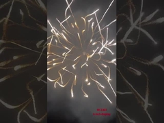 Display profesional Fuegos artificiales Mortero Artillería Conchas Suministros pirotécnicos Conchas de 6 pulgadas