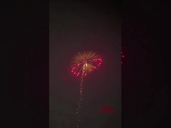 1.3g Pirotécnica Fuegos artificiales Saludo concha Cartucho de 4 pulgadas proyectiles de pantalla Fuegos artificiales