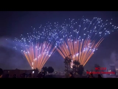 Fuegos artificiales profesionales para pasteles al aire libre pirotecnia 2025 mayorista 1.3G fuegos artificiales para pasteles para uso festivo