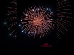 Exhibición profesional china conchas fuegos artificiales pirotecnia 6 pulgadas conchas conchas bolas