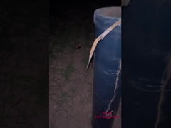 Fuegos artificiales profesionales chinos para la celebración del Año Nuevo 6 pulgadas de proyección de bolas