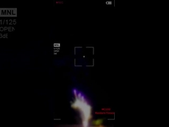 Fuegos artificiales de mandarín Fuegos artificiales de Liuyang Fuegos artificiales de pasteles profesionales