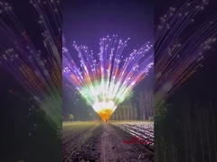 Liuyang 1.3g Un0335 Pirotécnica Muestra Torta Fuegos artificiales para la celebración del festival