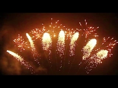 Pirotecnia de los fuegos artificiales del mandarín 65 fuegos artificiales en abanico de los tiros