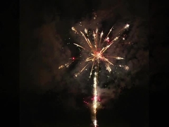 Liuyang especial efectúa la pirotecnia profesional de los fuegos artificiales de la torta 100 tiros