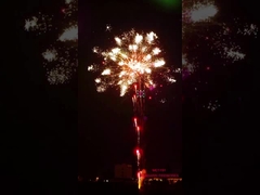 Los fuegos artificiales de la pirotecnia de Liuyang 196 efectos especiales de los fuegos artificiales profesionales de la torta de los tiros muestran