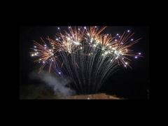 Pirotecnia del mandarín 1.3g 13 fuegos artificiales profesionales de la fila de los tiros solos