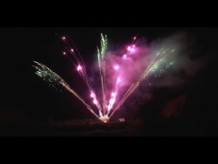 Pirotécnica china al aire libre 300 disparos Fuegos artificiales profesionales Display de 1.3g en forma de abanico