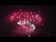 208 disparos de torta profesional Fuegos artificiales al aire libre para la celebración del festival de Navidad