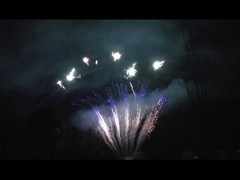 Mandarin Display 90 disparos Saludo pirotecnia profesional torta fuegos artificiales para la fiesta