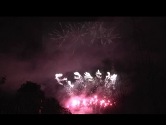 Liuyang 56 disparos de fuegos artificiales profesionales 1.3g Un0335 para la celebración del festival