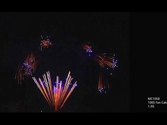 CE 100 150 300 500 600 1000 disparos Proyectos profesionales de torta fuegos artificiales personalizables