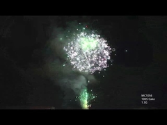 AFSL personalizable 100 disparos de torta profesional fuegos artificiales para la celebración del festival