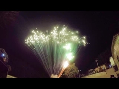 Exhiba la pirotecnia grande profesional que 49 tiros apelmazan saludos de los fuegos artificiales