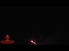 Pirotécnica Nombres Mandarinos De Fuegos Artificiales Muestra Pastel Profesional Saludo Pirotécnica 100 Disparos