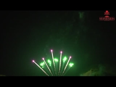 China Display de fuegos artificiales profesionales 10 disparos forma de abanico fila única