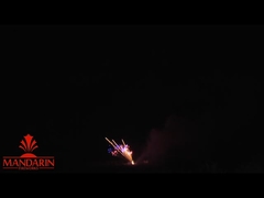 Saludos Fuegos artificiales profesionales 100 disparos Z / torta en forma de abanico pirotecnia