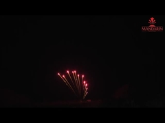Display de fuegos artificiales profesionales en forma de Z con 11 disparos en fila única