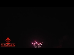 1.3g Un0335 Display de fuegos artificiales profesionales / 100 disparos Torta fuegos artificiales para el Año Nuevo