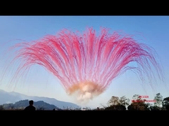 Fábrica china mayorista Fuegos artificiales diurnos Fiesta de humo de colores Torta Fuegos artificiales pirotecnia