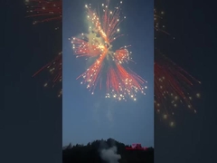 Liuyang Silver Ponytail Fireworks Cakes 2024 Fábrica china de fuegos artificiales y fuegos artificiales Pasteles de consumo