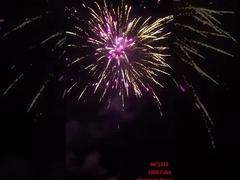 198 disparos China Torta Fuegos artificiales mayorista pirotecnia Fuegos artificiales al aire libre 2024 Para el festival