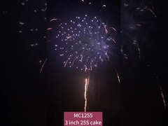 China 25 tiros Torta Fuegos artificiales pirotecnia para reuniones de celebración
