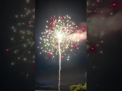 Pirotécnica personalizada Torta Fuegos artificiales Saludo para la celebración del Año Nuevo 2023