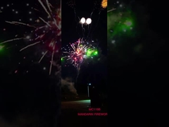 88 fuegos artificiales al aire libre de la torta de la pirotecnia de los tiros de China
