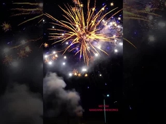 100 fuegos artificiales de la torta del consumidor de los tiros para los fuegos artificiales grandes al aire libre de la celebración