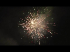 La pirotecnia china de los fuegos artificiales de la torta del consumidor 128 tiros apelmaza los fuegos artificiales de los petardos