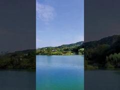 El d3ia 49 fuegos artificiales chinos de la torta de los tiros coloreó los fuegos artificiales del humo para la celebración