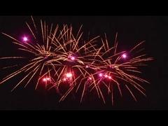 Fuera 20 disparos Celebración Torta Pirotécnica En forma de abanico Personalizado 1.4g