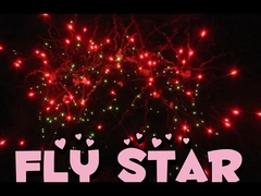 Fuegos artificiales de pastel de consumo chino personalizados 25 disparos 500G pirotecnia