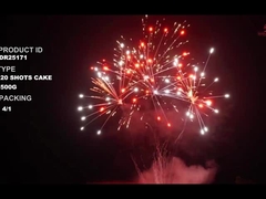 Liuyang 20 disparos 500 gramos torta personalizada fuegos artificiales para el año nuevo