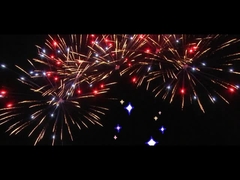 Fuegos artificiales para la celebración Fuegos artificiales al aire libre