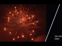 Mandarín 2021 Nuevo 16 disparos 200g Torta Fuegos artificiales para la fiesta de celebración