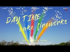 Pirotécnica de Mandarín Diurna Torta de Saludo Fuegos artificiales 49 disparos