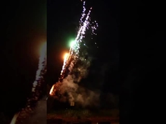 740 pirotécnicas al aire libre locos de Roman Candle Fireworks 1.4g Un0336 de los tiros para los niños