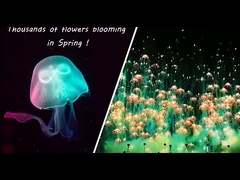 Fuegos artificiales de Año Nuevo Juguetes Medusas Novedades de consumo Fuegos artificiales Skyshots Pirotécnica