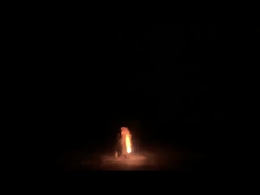 fuegos artificiales malvados Toy Fireworks For Party al aire libre de la fuente de la abeja de 1.4g Un0336