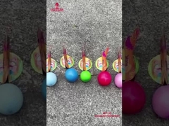 Fábrica china de niños Fuegos artificiales Liuyang Swan de huevos Fuegos artificiales novedad juguete divertido Fuegos artificiales para Ch