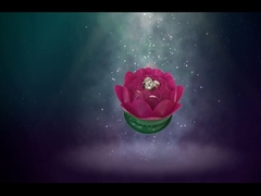 Hermosa Tierra girando Fuegos artificiales de loto / juguetes de cumpleaños Fuegos artificiales