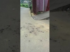 Bolas mágicas juguete fuegos artificiales 0.03CBM Protección del medio ambiente para reuniones de celebración