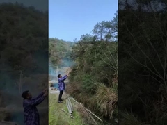 Fiesta de revelación de género, cañón de confeti, cañón de polvo de Holi para la boda.