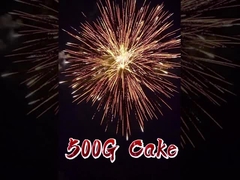 Fuegos artificiales Liuyang pirotecnia 2 pulgadas 12 disparos 500g torta de consumo fuegos artificiales para la celebración